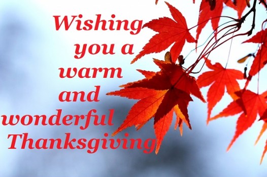 Image result for have a great thanksgiving